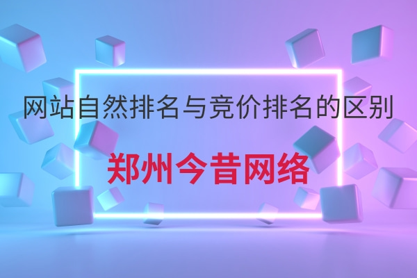 網站自然排名與競價排名的區別
