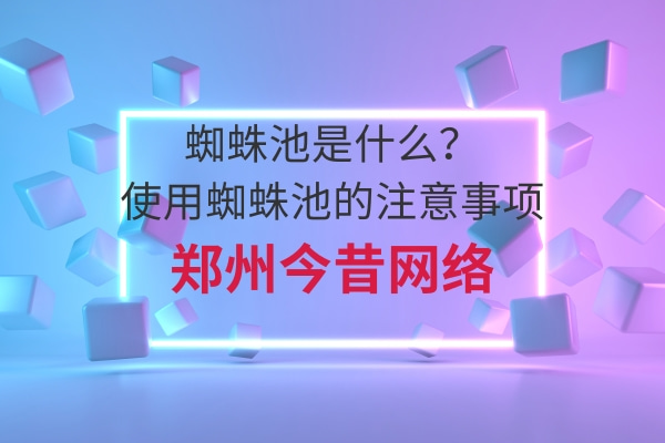 蜘蛛池是什么？使用蜘蛛池的注意事項
