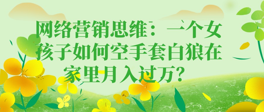 網絡營銷思維：一個女孩子如何空手套白狼在家里月入過萬？